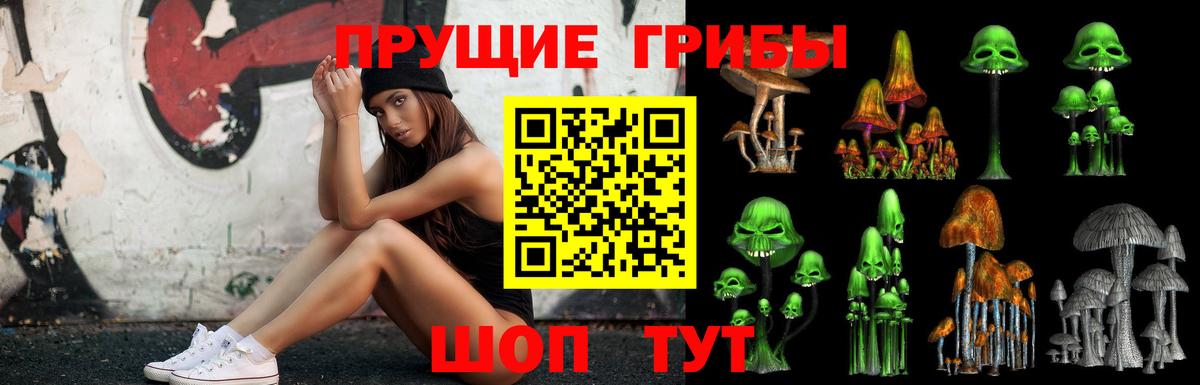 Галлюциногенные грибы мицелий  Галлюциногенные грибы MAGIC MUSHROOMS  Алексин  Вход с VPN 